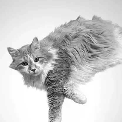Billy   Photo